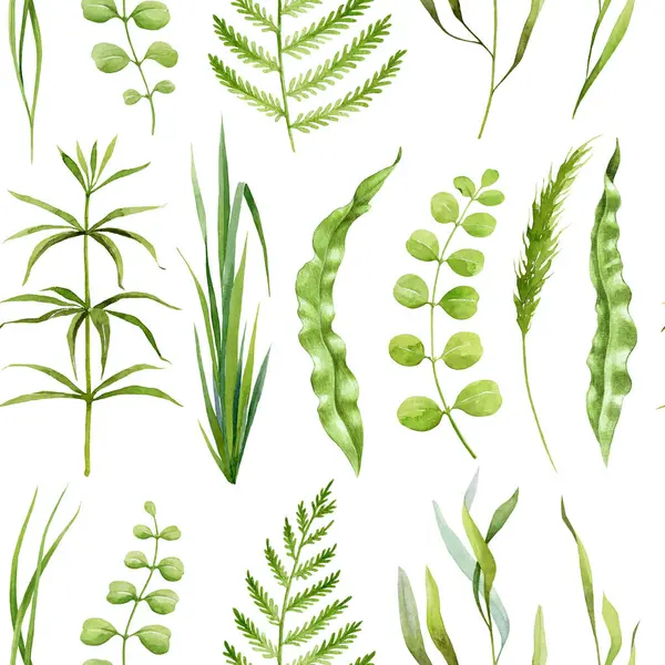Green grass, fern leaves, plants, forest herbs seamless pattern. Watercolor illustration. Hand drawn forest nature decor. Fern, grass, leaves seamless pattern. Lush greenery decor. White background.