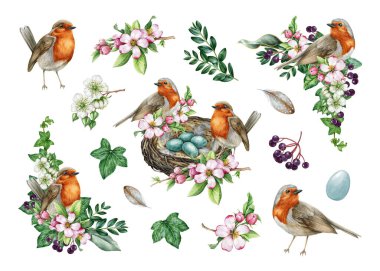 Paskalya bayramı konforu. Bahçe kuşu ve çiçeklerle hazırlanmış klasik bahar dekoru. Suluboya çizimi. El yapımı nar bülbülü, yuva, yumurta, bahçe çiçekleri, yaprak koleksiyonu.