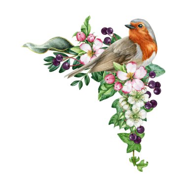 Çiçekli Robin Bird 'ün klasik bahar dekoru. Suluboya çizimi. El yapımı ardıç kuşu, bahar çiçekleri, mürver, sarmaşık yaprakları. İlkbahar sıcacık dekoru izole edildi.