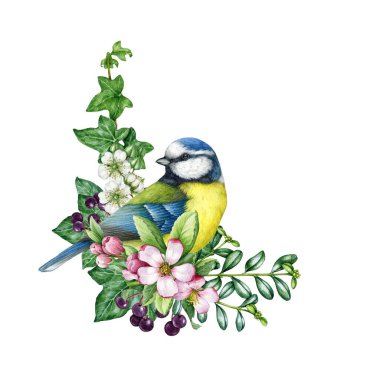 Spring season vintage style decor with bird and flowers. Watercolor illustration. Hand drawn blue tit bird, garden flowers, elderberry, ivy, leaves element. Springtime painted cozy decor isolated.