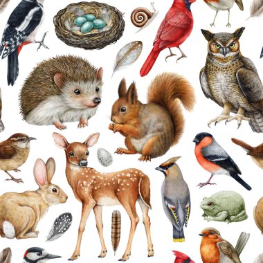 Orman hayvanları kusursuz desenli. Suluboya resim. El yapımı orman hayvanları ve kuşlar pürüzsüz desenler. Sincap, kirpi, baykuş, geyik, ardıç kuşu, çalıkuşu. Beyaz arkaplan.