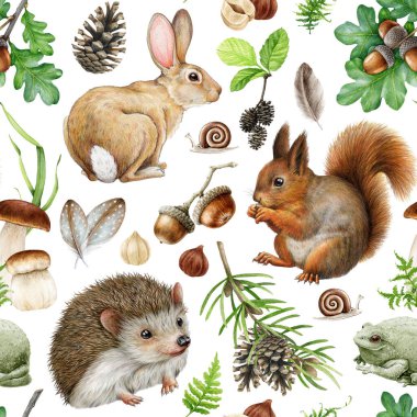 Doğal elementleri kusursuz desenli orman hayvanları. Suluboya resim. El yapımı sincap, kirpi, tavşan, mantar, meşe palamudu elementleri. Tatlı vahşi orman hayvanları kusursuz desenli..