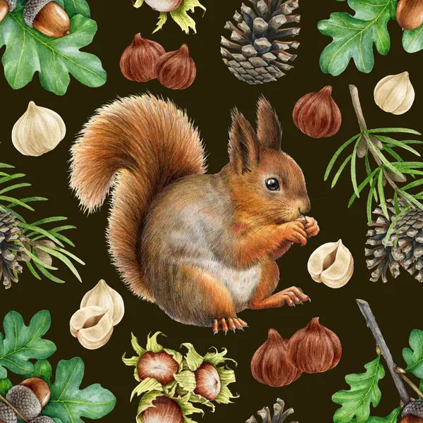 Hand drawn squirrel with nuts, acorn and forest elements seamless pattern. Watercolor painted illustration. Cute red squirrel with hazelnut, cone, acorn elements seamless pattern. Dark background.