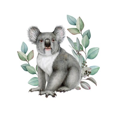 Cute koala with eucalyptus leaf decor. Watercolor illustration. Hand painted wildlife Australian native animal. Grey koala bear with eucalyptus floral decoration element. White background. clipart