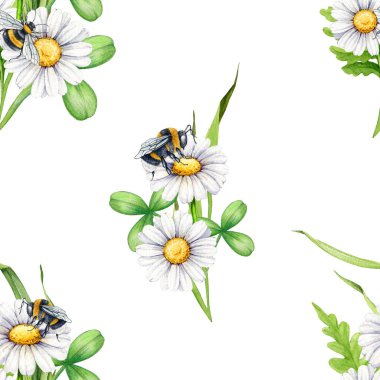 Papatya çiçeğinin üzerindeki arı desensiz desen. Suluboya çizimi. Meadow yaz çiçekleri ve yaban arısı çiçek süslemeleri. Yeşil yapraklı, dikişsiz, beyaz papatya çiçeğinin üzerindeki arı..