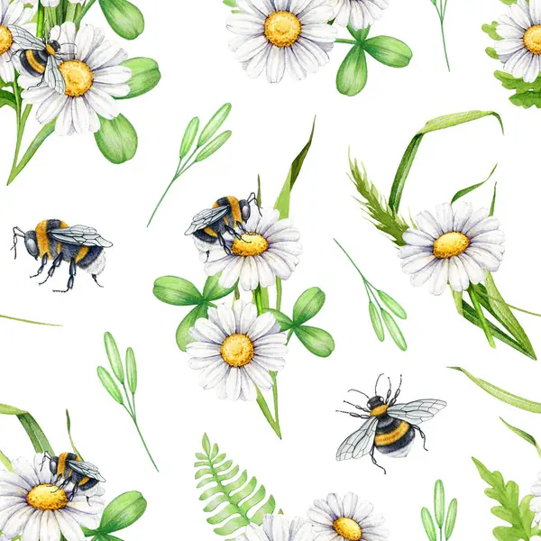 Dikensiz papatya çiçeği deseni üzerinde arı. Suluboya çizimi. Yaban arısı çiçek desenli yaz çayır çiçekleri. Beyaz papatya çiçeklerindeki arılar, pürüzsüz yeşil yapraklar. Beyaz arkaplan.
