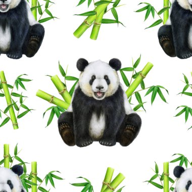 Bambu sopalı, pürüzsüz desenli panda. Suluboya çizimi. El çizimi şirin Asya ayısı. Bambu desensiz desenli şirin oturan dev bir panda. Beyaz arkaplan.