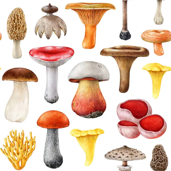 stock image Forest mushrooms seamless pattern. Watercolor painted illustration. Hand drawn different mushroom element collection. Painted various fungi seamless pattern on white background.
