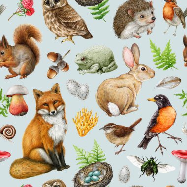 Doğal elementleri kusursuz desenli orman hayvanları. Klasik suluboya çizimi. El çizimi tilki, sincap, kirpi, bülbül, baykuş, mantar, eğreltiotu, eğreltiotu deseni.