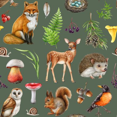 Tatlı orman hayvanları kusursuz desenli. Suluboya çizimi. Elle çizilmiş tilki, sincap, baykuş, nar bülbülü, doğal elementli mantar. Orman elementleri kusursuz desenli orman hayvanları..