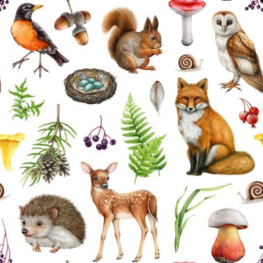 Şirin boyanmış orman hayvanları, kusursuz doğal elementler. Suluboya çizimi. El yapımı tilki, sincap, baykuş, nar bülbülü, mantar elementleri. Orman hayvanları beyaz arka planda kusursuz desen
