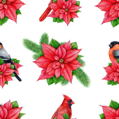 Kış zamanı kusursuz şenlik düzeni. Klasik çizim. Geleneksel Noel dekoru, noktalı çiçekler, boyalı kuşlar. Beyaz arka planda kış mevsimi parlak, pürüzsüz desen.