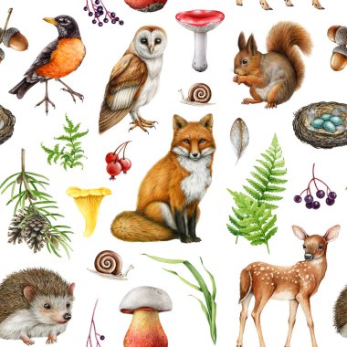 Şirin boyanmış orman hayvanları, kusursuz doğal elementler. Suluboya çizimi. El yapımı tilki, sincap, baykuş, nar bülbülü, mantar elementleri. Orman hayvanları kusursuz desenli. Beyaz arkaplan.