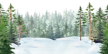 Kış mevsimi karlı orman doğası resimlerini çizdi. Elle çizilmiş köknar ağaçları, çam ağaçları, kozalaklı doğal vahşi yaşam sahnesi karla kaplı. Köknar ağacı boyalı karlı orman arka planı.