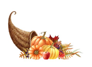 Kabaklı cornucopia toplayın suluboya resimli. Balkabaklı, elmalı, sonbahar çiçekli ve yapraklı Şükran Günü Cornucopia 'sı. Beyaz arkaplanda sonbahar sezonluk dekorasyonu.