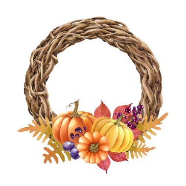 Balkabaklı güz çiçekli çelenk, düşmüş yapraklar. Suluboya klasik resim. Geleneksel Şükran Günü dekorunu elle çizdim. Sonbahar mevsimi, kabaklarla sarmaşık çelengi dekorasyonu..
