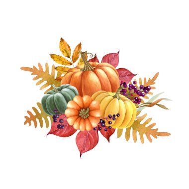 Balkabaklı Şükran Günü süsü. Suluboya klasik resim. Portakal kabakları, meyve ve yapraklarla süslü bir sonbahar şenliği. İzole edilmiş beyaz arkaplan.