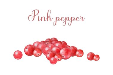 Pink peppercorn condiment spice pile painted illustration. Vintage style image. Hand drawn pink pepper spice heap for cooking and seasoning ingredient isolated on white background. clipart