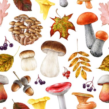 Sonbahar mantarları ve düşen yapraklar sıcak renklerde pürüzsüz desenler. Suluboya klasik resim. Beyaz arka planda sonbahar kuru yaprakları olan el çizimi yenilebilir mantar elementleri.