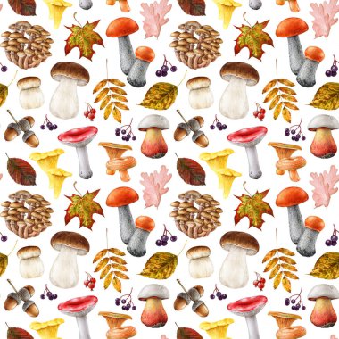 Sonbahar orman mantarları ve devrilmiş ağaç yaprakları sıcak renklerde pürüzsüz desenler oluşturuyor. Suluboya klasik resim. Beyaz arka planda sonbahar kuru yaprakları olan el çizimi yenilebilir mantar elementleri.