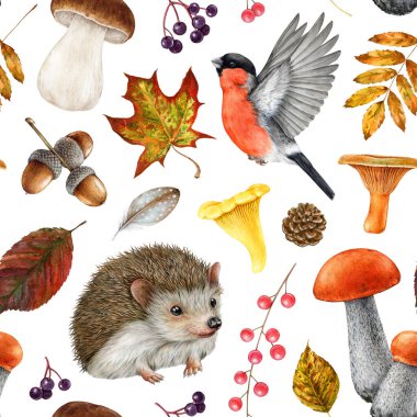 Sonbahar ormanı elementleri kusursuz desenli şirin kirpi. Suluboya çizimi. El yapımı orman hayvanları, kuşlar, mantarlar, sonbahar yaprakları baskı ve paketleme için kusursuz desen tasarımı..