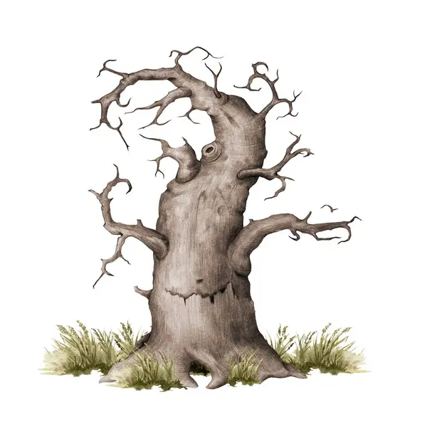 Stock image Old dry thick tree with grass painted illustration. Vintage style hand drawn tree with curved branches no leaves. Old crooked oak with bald twigs countryside, forest, park landscape element isolated.