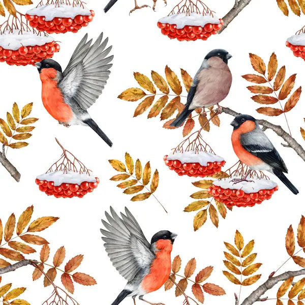 stock image Winter season bullfinch birds with rowan tree branch, berries covered with snow seamless pattern. Watercolor illustration. Winter bullfinches forest bird with red rowanberry design seamless pattern.