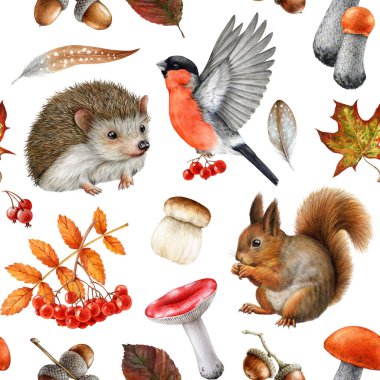 Orman hayvanları ve doğal elementlerle klasik stil kusursuz desen. Suluboya resim. Sonbahar kirpisi, sincap, orman mantarları beyaz arka planda düşen yapraklar..