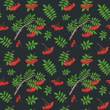 Rowanberry ağaç elementleri pürüzsüz desen. Suluboya boyalı vintage resim. El çizimi doğal rowan kırmızısı olgun böğürtlen, yaprak elementleri pürüzsüz desen tasarımı koyu arkaplanda.