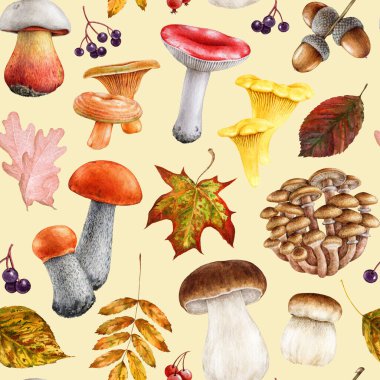Sonbahar ormanı parlak mantarlar, devrilmiş ağaç yaprakları, dikişsiz desenli sıcak renkler. Suluboya klasik resim. Boyanmış yenilebilir orman mantarı, sonbahar yaprakları, böğürtlen elementleri..