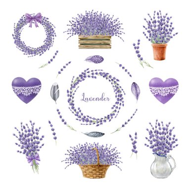 Lavanta bitkisi zarif dekor düzenleme ögesi seti. Suluboya resim. Eflatun çiçekli, çelenkli klasik tarz dekorasyon. Beyaz arka planda Lavandula organik bitki seti.