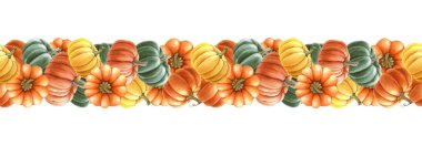 Sonbahar balkabakları suluboya, dikişsiz sınır dekoru. Resimli çizim. Olgun turuncu, yeşil, sarı balkabakları, dikişsiz sınır dekorasyonu elementi. Çiftlik organik sonbahar sebzeleri. Beyaz arkaplan.