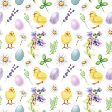 Paskalya 'nın parlak, pürüzsüz desenleri, küçük sarı civcivler, bahar çiçekleri. Suluboya çizimi. Bahar zamanı beyaz papatya çiçekleri, boyanmış yumurtalar, yeşil yapraklar, dikişsiz küçük civcivler..