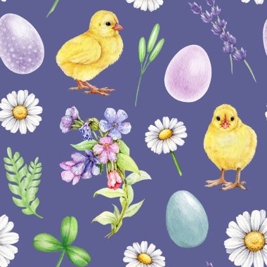 Paskalya bayramı kusursuz. Şirin sarı civcivler, bahar çiçekleri suluboya resimler. Bahar zamanı papatya çiçekleri, boyanmış yumurtalar, yeşil yapraklar, yumuşak renklerde pürüzsüz desenler..