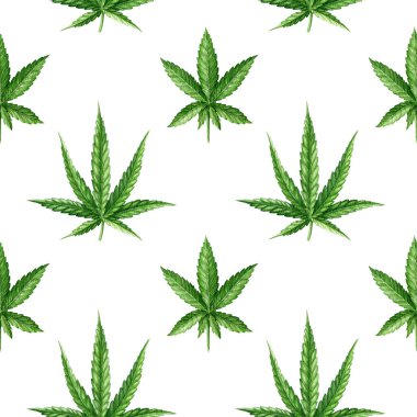 Kenevir sativa ve indica bitkisi beyaz arka planda pürüzsüz izler bırakır. Kenevir ilacı suluboya çizimi. Esrar bitkisi yeşil yaprak elementi pürüzsüz desen tasarımı.