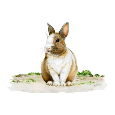 Yerde oturup resimlerini çizen sevimli küçük bir tavşan. Elle çizilmiş tavşan stili bir görüntü. Küçük tavşancık yaban hayatı ve yeşil çimlerde oturan evcil memeliler..