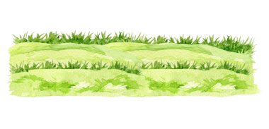 Yeşil çimen elementinin elle çizilmiş suluboya çizimi. Yemyeşil çimen, çayır, park, çiftlik, bahçe elementleri. Taze bitkiler ve doğal bitkiler çiçek elementleri..
