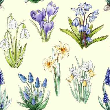 Primrose bahar çiçekleri pürüzsüz desen. Suluboya el çizimi çizimi. Bahar mevsimi nergis, kartopu, muscari, crocus, BlueBell çiçekleri. Paskalya dekoru ve mevsimlik kartlar için mükemmel..