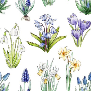 Primrose bahar çiçekleri kusursuz desenli. Suluboya klasik resim. Bahar mevsimi nergis, kartopu, muscari, crocus, BlueBell kırsal bölge çiçekleri. Beyaz arkaplan.