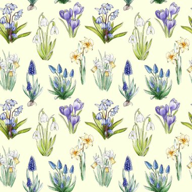 Primrose bahar çiçekleri pürüzsüz desen. Suluboya el çizimi klasik çizim. Bahar mevsimi nergis, kartopu, muscari, BlueBell çiçekleri. Paskalya dekoru ve mevsimlik kartlar için mükemmel..