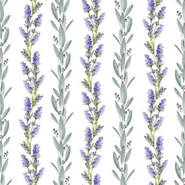 Okaliptüslü lavanta çiçekleri dikişsiz desenli klasik el yapımı suluboya çizimleri bırakır. Beyaz arka planda zarif süslemelerde doğal organik otlar..