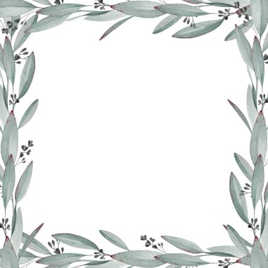 Beyaz arka planda okaliptüs yaprağı kare dekor çizimi. El yapımı klasik okaliptüs dalı süslemesi zarif bir element. Doğal organik, şifalı bitkiler..