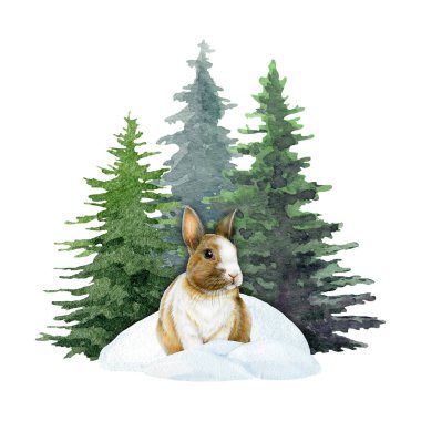 Cute little bunny in snow piles in front of fir tree background. Hand drawn winter mood illustration. Winter season wildlife nature scene. Rabbit under evergreen conifer trees on white background. clipart