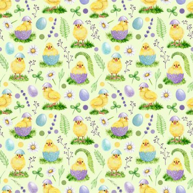 Paskalya desensiz, tapılası civcivler, boyanmış yumurtalar, papatyalar ve bahar elementleri. El yapımı klasik suluboya çizimi. Paskalya dekoru, bahar el sanatları ve şenlikli tasarımlar için mükemmel..