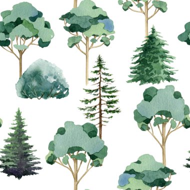 Ağaç yeşili, dikişsiz ormanlık desen. Beyaz arka planda boyanmış köknar ağaçları, çalılar, okaliptüsler. Woodland illüstrasyon desen tasarım elementi baskı, tekstil, ambalaj kağıdı için mükemmel.