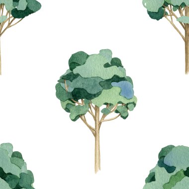 Yeşil Ağaç Ormanı. Zarif, pürüzsüz desen elementi. Beyaz arka planda elle çizilmiş ağaçlar. Okaliptüs ormanı suluboya resim tasarımı, tekstil, baskı, ambalaj kağıdı için mükemmel.