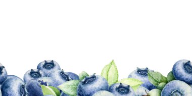 Yeşil yapraklı taze yaban mersini. Beyaz arka planda el çizimi yaban mersini yığını suluboya tarzı illüstrasyon. Baskı, ambalaj, dekor ve yemek temalı tasarımlar için mükemmel.