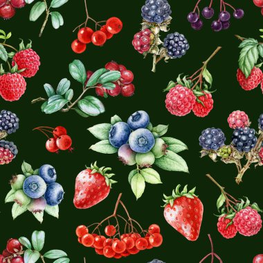 Taze böğürtlen pürüzsüz desen. El yapımı çilek, yabanmersini, ahududu, siyah arka planda böğürtlen taze meyve. Taze bahçe böğürtlenleri, klasik tasarım. Parlak, pürüzsüz desen tasarımı.