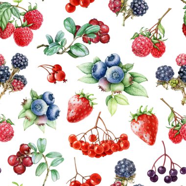 Taze böğürtlen pürüzsüz desen. El yapımı yabanmersini, ahududu, çilek, böğürtlen, beyaz arka planda taze meyve. Taze, parlak bahçe meyveleri, bağbozumu stili, kusursuz desen elementi.