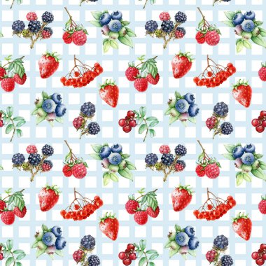 Taze bahçe meyveleri. Arka planda iz bırakmadan. El yapımı yabanmersini, ahududu, çilek, böğürtlen. Bahçe üzümleri vintage stil illüstrasyonsuz desen tasarım elementi.